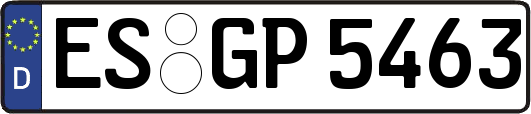 ES-GP5463