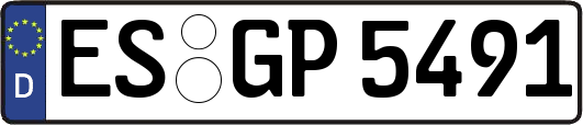 ES-GP5491