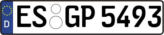 ES-GP5493