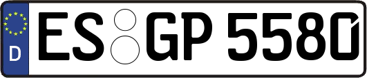ES-GP5580