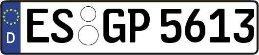 ES-GP5613