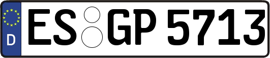 ES-GP5713