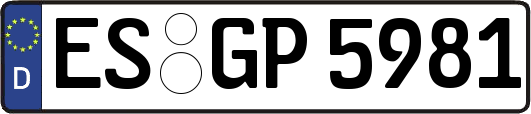 ES-GP5981