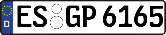 ES-GP6165