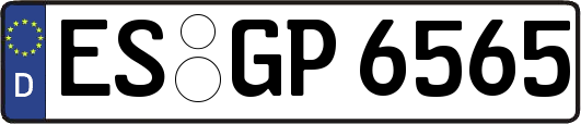 ES-GP6565