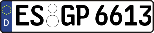 ES-GP6613