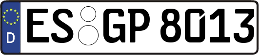 ES-GP8013