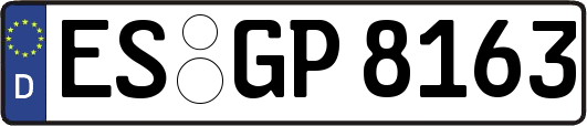 ES-GP8163