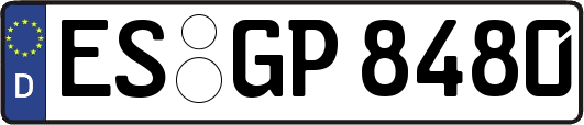ES-GP8480