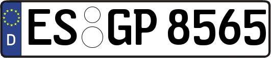 ES-GP8565