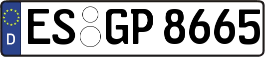 ES-GP8665