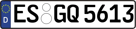 ES-GQ5613
