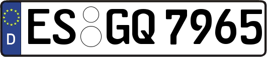 ES-GQ7965