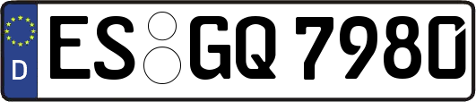 ES-GQ7980