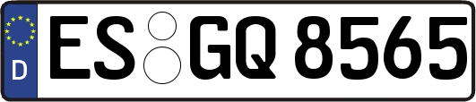 ES-GQ8565