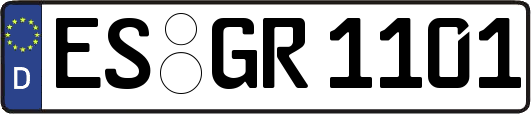 ES-GR1101