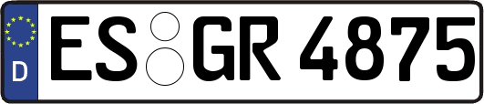 ES-GR4875