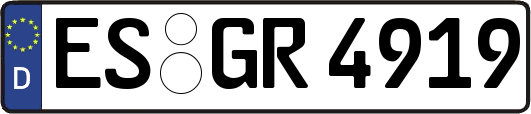 ES-GR4919