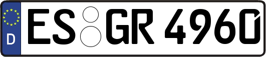ES-GR4960