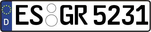 ES-GR5231
