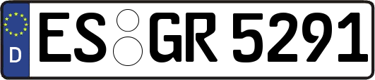 ES-GR5291