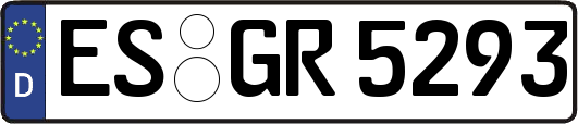 ES-GR5293