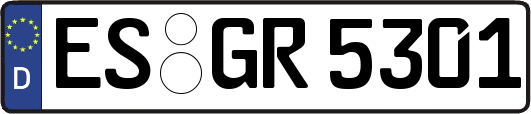 ES-GR5301
