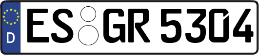 ES-GR5304
