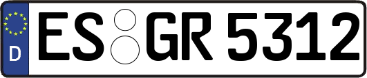 ES-GR5312