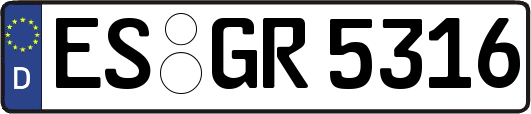 ES-GR5316