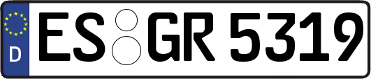 ES-GR5319
