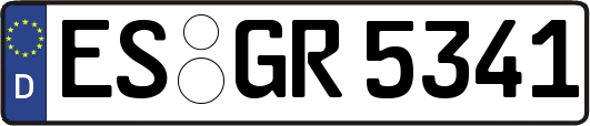 ES-GR5341