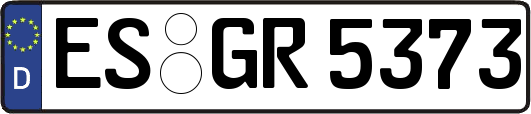 ES-GR5373