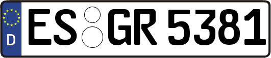 ES-GR5381