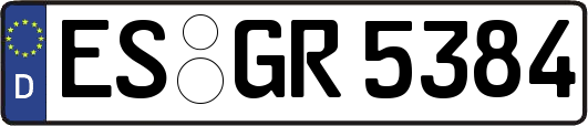 ES-GR5384
