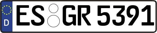 ES-GR5391