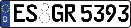 ES-GR5393