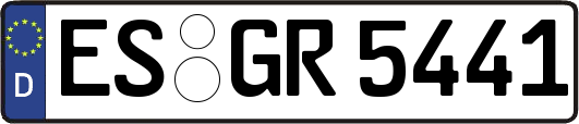 ES-GR5441