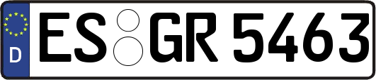 ES-GR5463