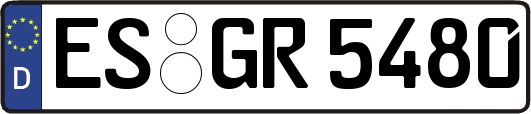 ES-GR5480