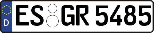 ES-GR5485