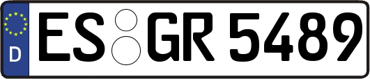 ES-GR5489