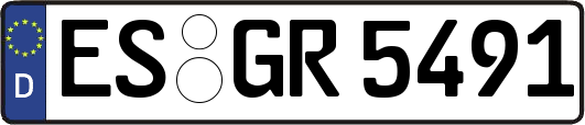 ES-GR5491