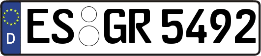 ES-GR5492
