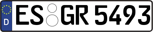 ES-GR5493