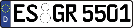 ES-GR5501