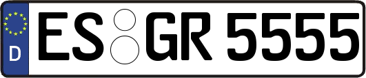 ES-GR5555