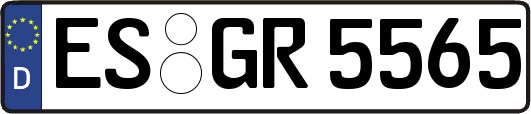 ES-GR5565