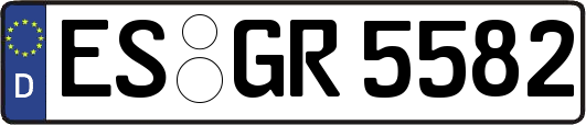 ES-GR5582