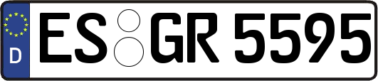 ES-GR5595